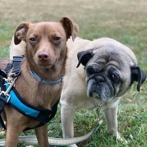 Meet your Posher, Billy n catrina